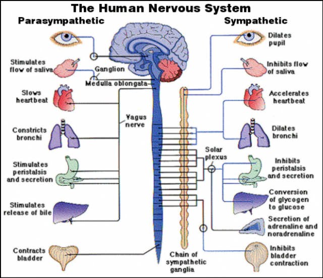 Nursing School-HELP!!