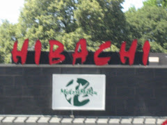 WELCOME TO THE HIBACHI