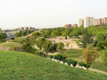 Panorámica