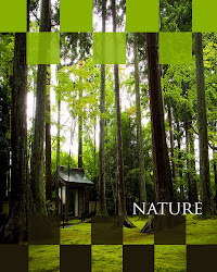 poster nature graphic culture emily