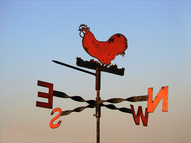 Green Acres with Twyla The Newest Weather Vane