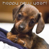 New Year Puppy Wallpapers