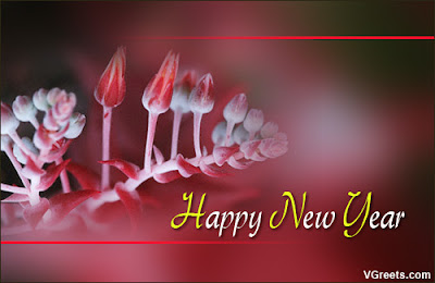 New Year Wishes Flower Wallpapers