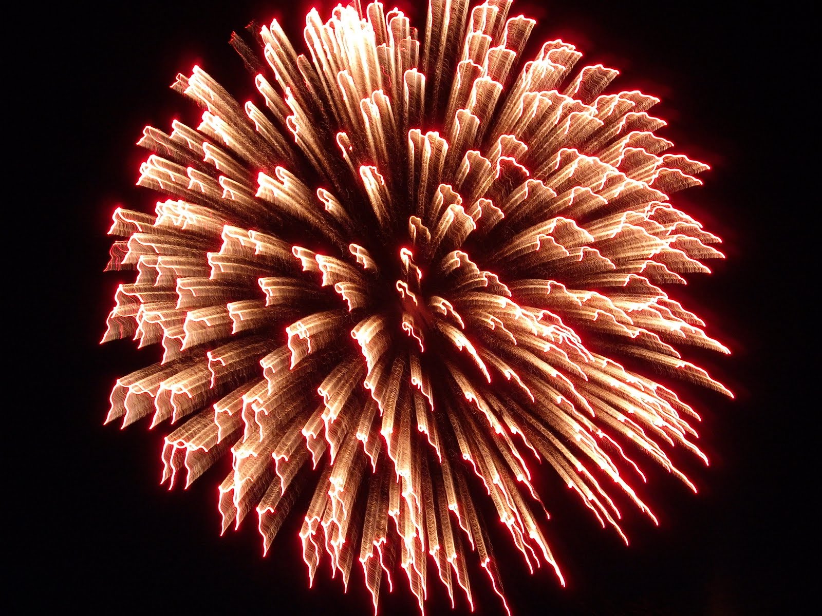 Rhode Island Explorer's Club Jamestown Fireworks Display