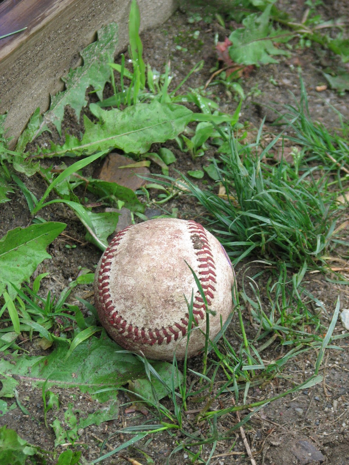 Williston AAA Angels June 2010