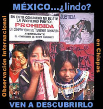 Brigada solidaria a Chiapas