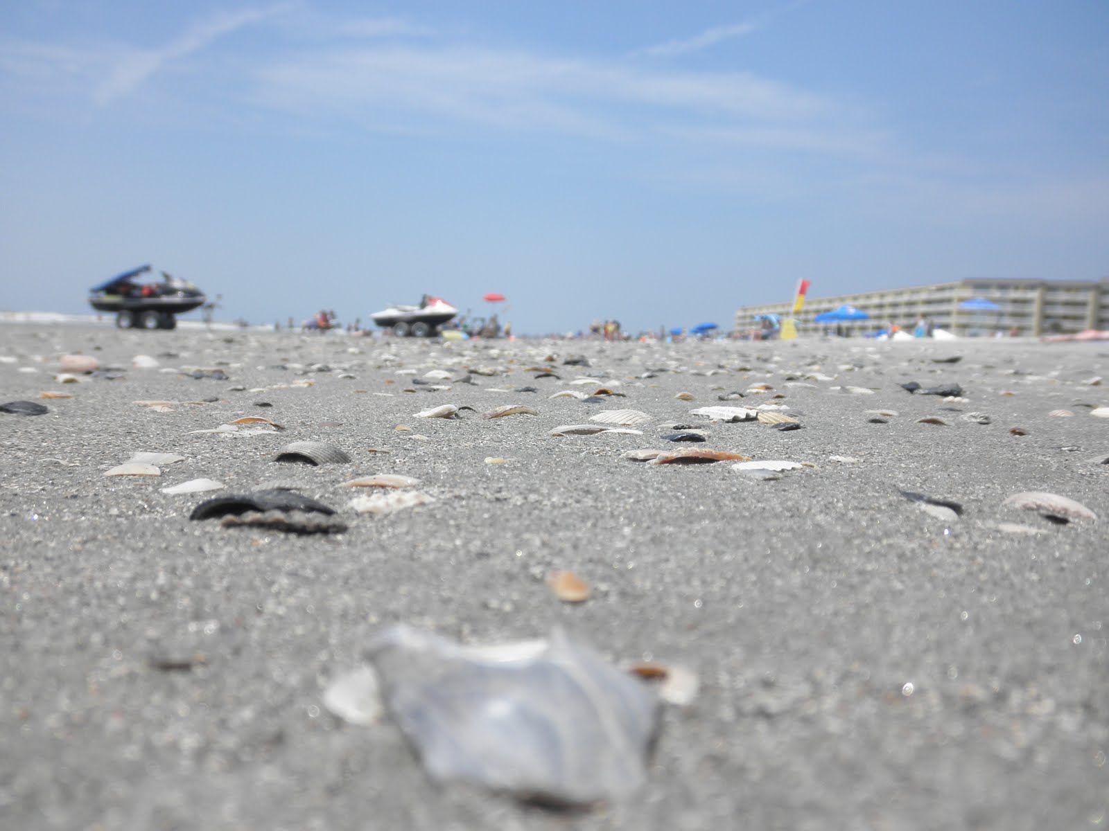 No Popouts. Folly Smells Like Dead Fish