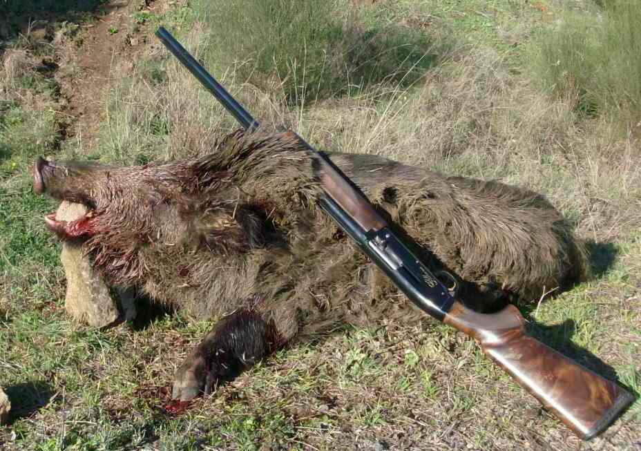 [HPIM0246+-+Cópia.JPG]