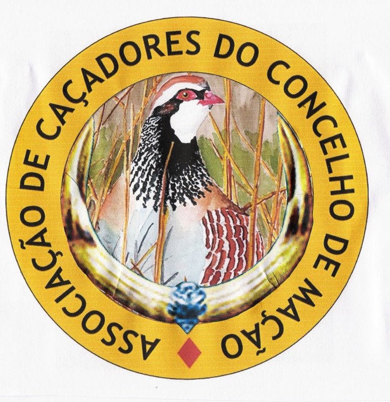 [Digitalizar0001.jpg]