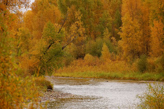 Elk River in the fall