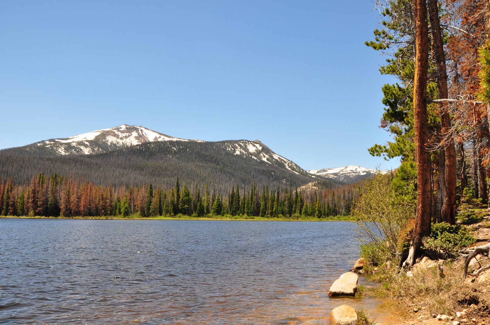 Adventures with Jackson and Aspen Camping at Big Creek Lakes
