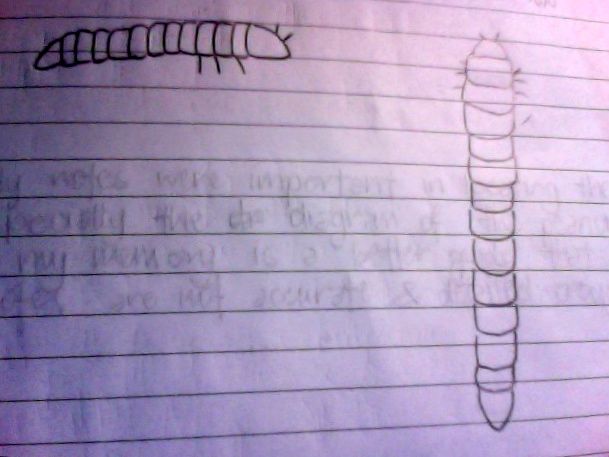 Biology Journal!: February 2011