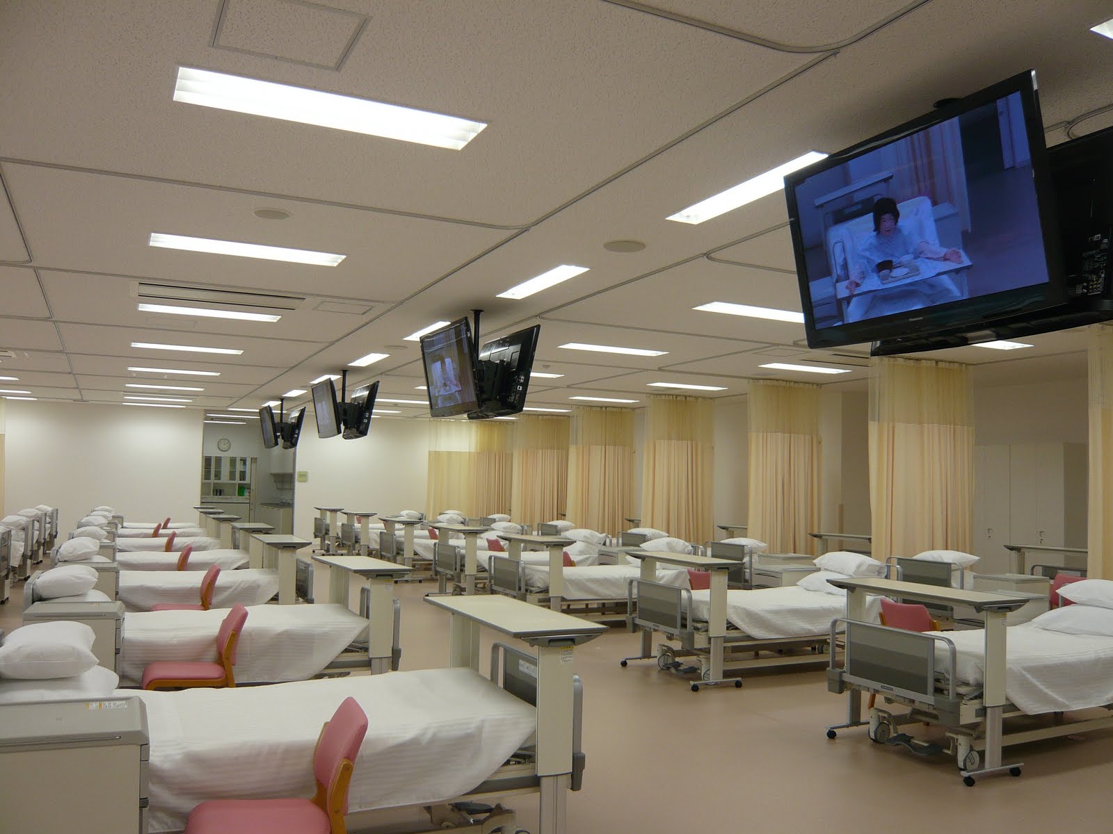まっすぐに全力で！中田次城: 順天堂大学 保健看護学部＜三島キャンパス＞開校