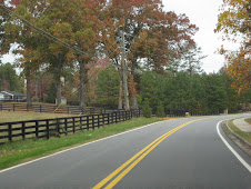 Francis Road