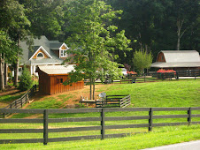 Dorris Road