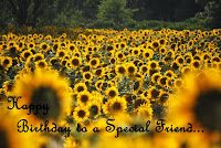 happy birthday friend sunflowers wish