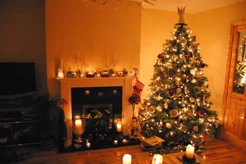 Christmas Ideas: Indoor Christmas Decorations, Indoor Christmas ...