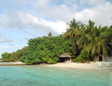 Рекламные картинки