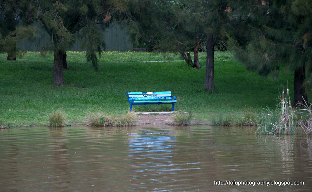 wynn-las-vegas-koi-pond-bench wynn-las-vegas-koi-pond-bench