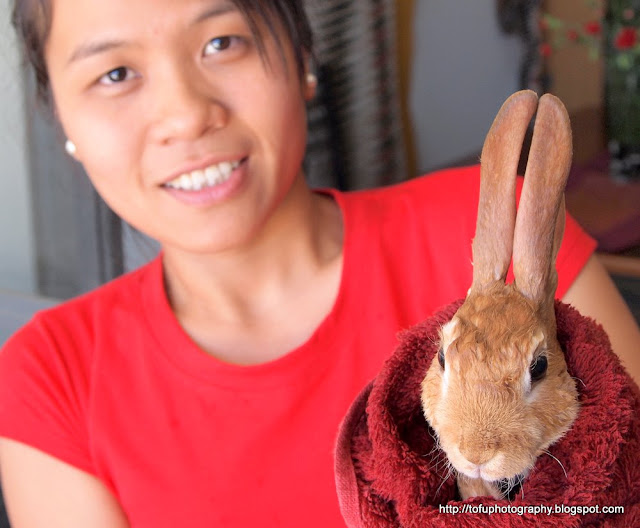 Tofu Photography A wet rabbit!