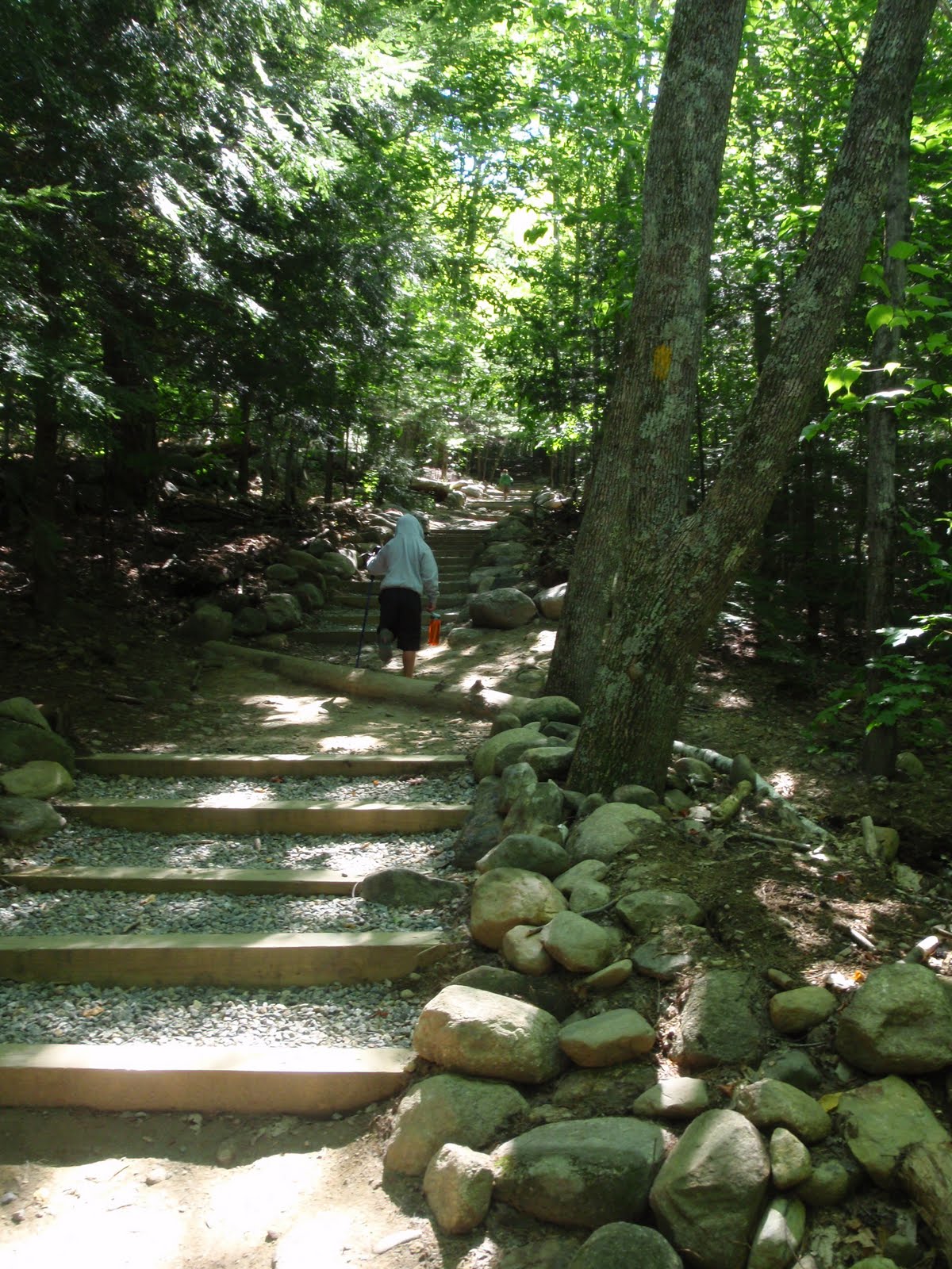 Blunoz Random Ramblings: West Rattlesnake Mountain Hike