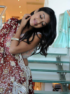 Tollywood Actress Payal Gosh Hot HQ Photos Gallery