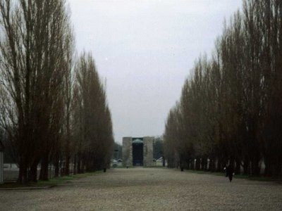 I pioppi di Dachau