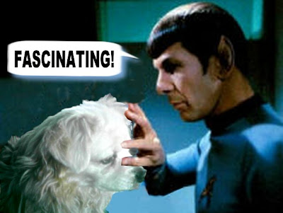 spock_mind-meld-icy.JPG