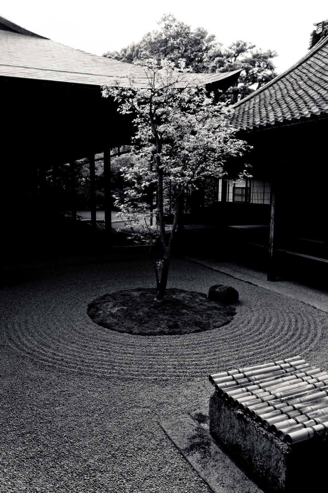 Fanon Che Photography Zen In Black and White