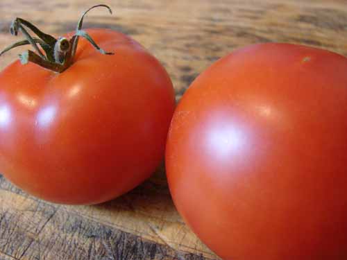 [tomatoes+3.jpg]