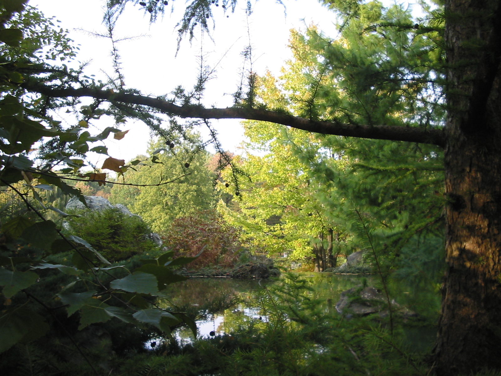 [Jardin+Botanique+039.jpg]