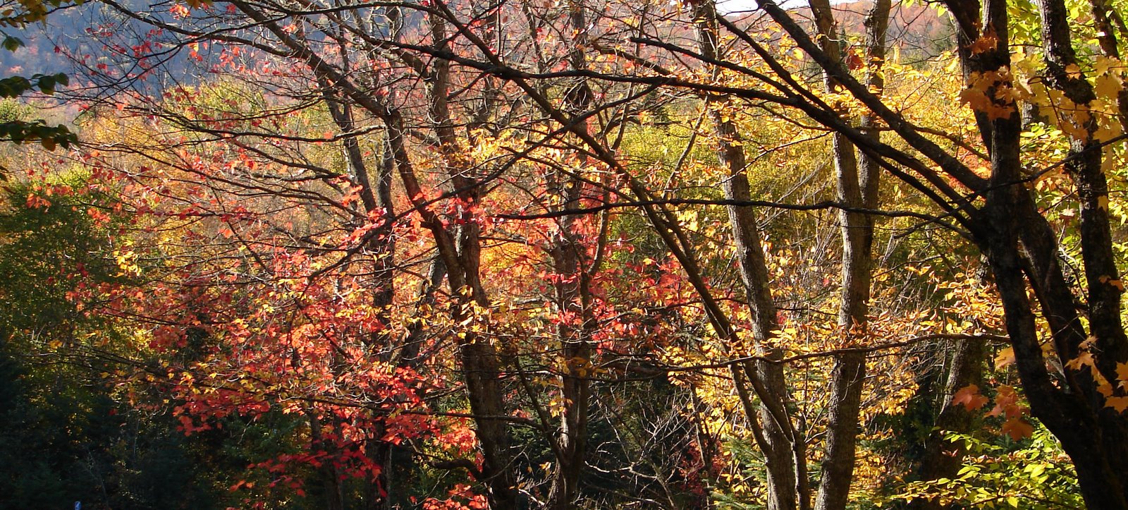 [DSC04396_edited.JPG]