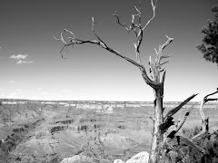 Grand Canyon 1