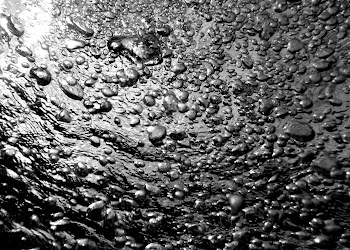 Underwater weirdness 2