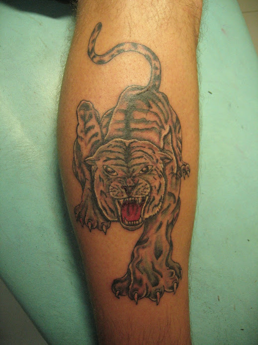 tiger