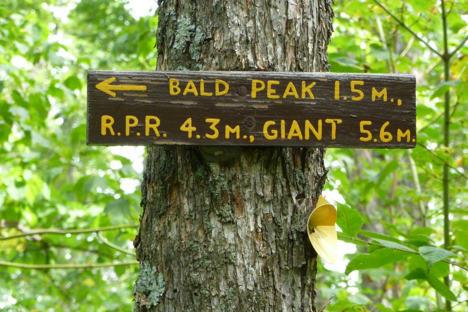 best day hikes in the adirondacks