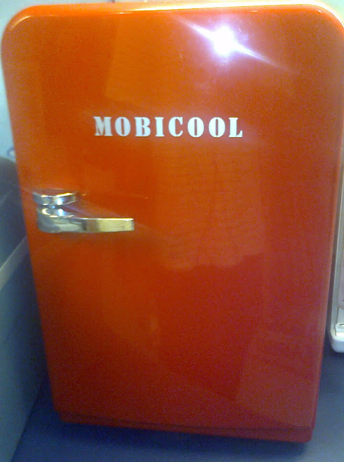 Mini coolerbox