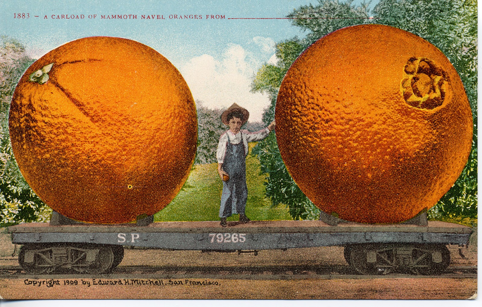 Postcards, etc. Big Oranges
