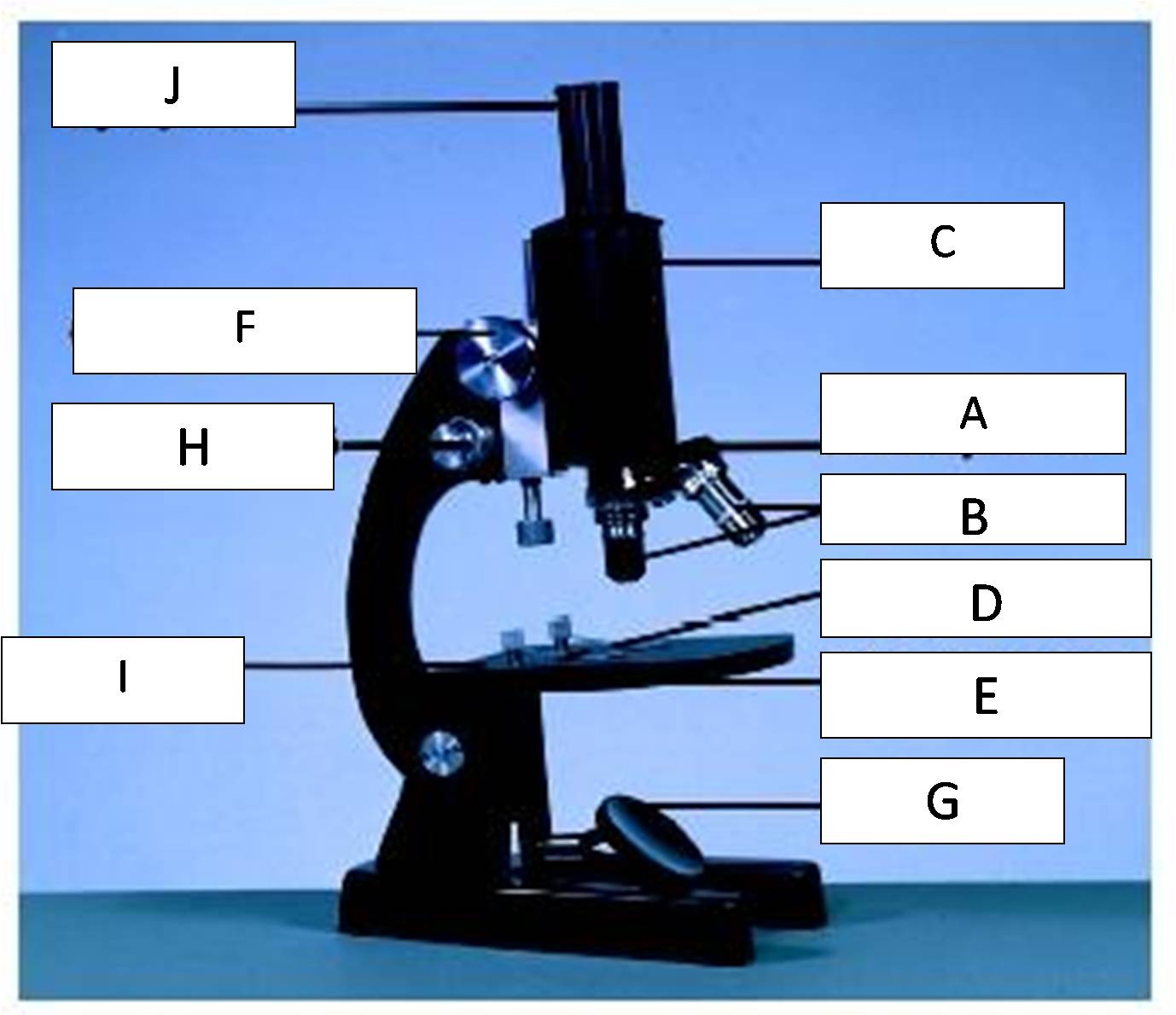 Identify The Parts Of The Microscope