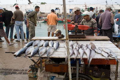 Марокко. Эль-Джадида. Порт и рыбный базар. Marocco. El Jadida