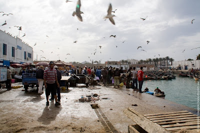 Марокко. Эль-Джадида. Порт и рыбный базар. Marocco. El Jadida