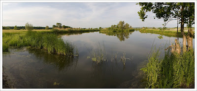 Оскол перед Купянском (панорама)