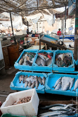 Египет. Рыбный базар в Хургаде
