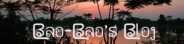 Bao-Bao's Blog
