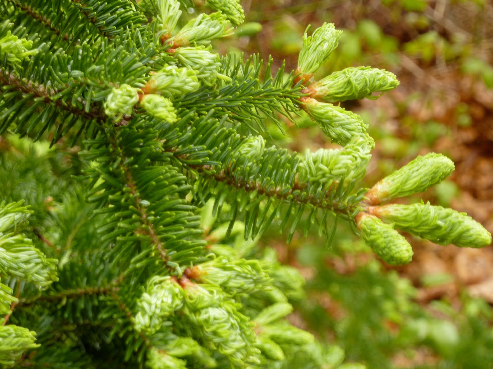 The Story of Kat: it was the best of times, it was the worst of times...