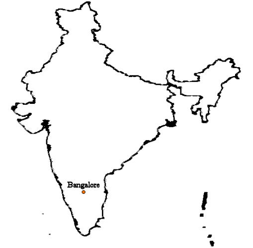 The India Update