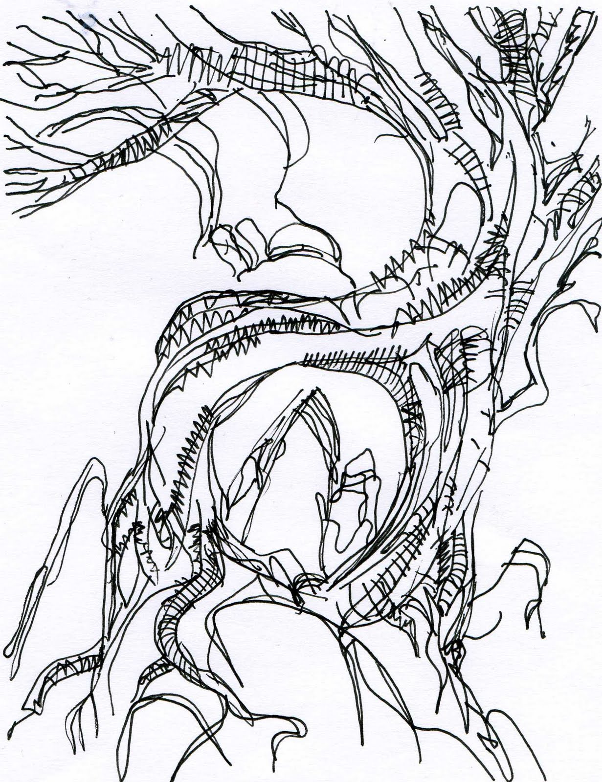 cmstextiledesign Nature Drawings