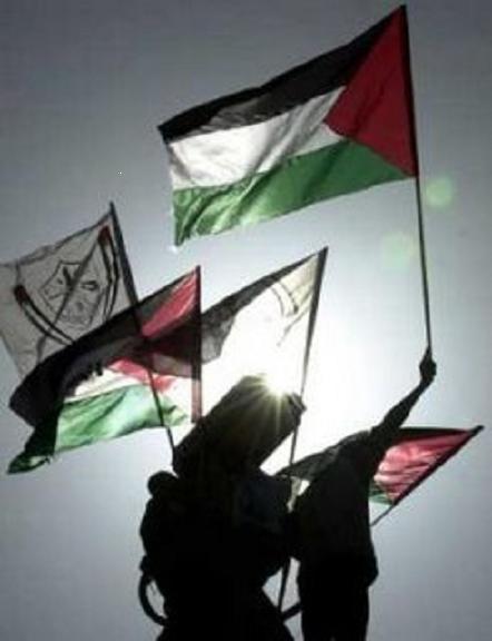 FLAGS OF FREE PALESTINE