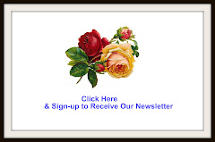 Sign-up for Email Newsletter