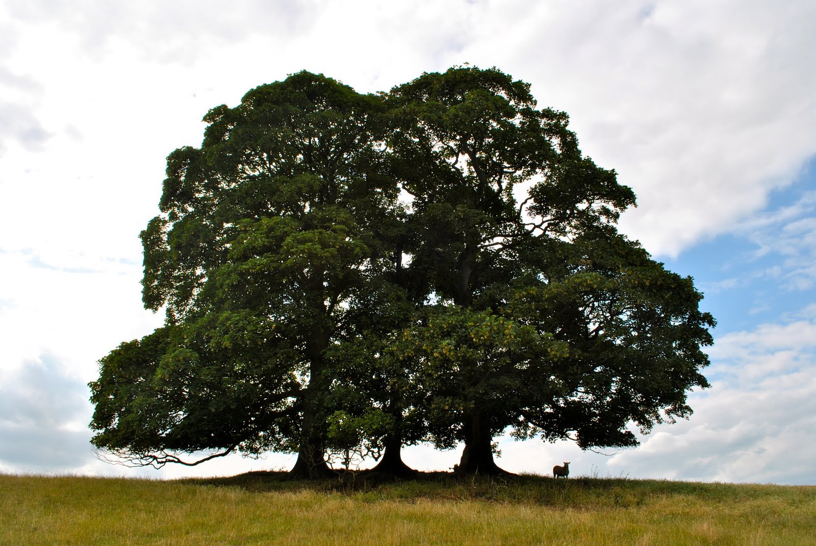 Ashli: Walk Through the Cotswolds